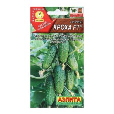 Cucumber seeds 