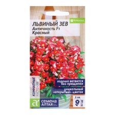 Seeds Lion Zev 