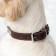 Belly leather embossed single-layer with a plate, 60 x 3 cm, Osh 45-57 cm, brown