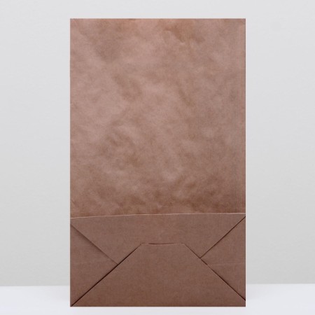Craft package Paper Pack, rectangular bottom 24 x 14 x 40 cm 70 g/m2, set 50 pcs-1