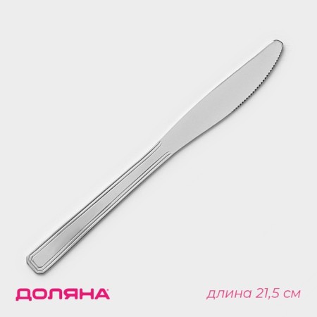 Stainless steel knives are a shade of a share, length 21.5 cm, thickness 2 mm, 5 pcs