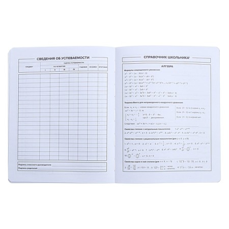 Universal Diary Grade 1-11, 48 sheets "Skateboardist", soft cover of artificial leather, pancake embossing-7