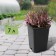 Pot for seedlings, 7 l, d = 21 cm, h = 27.5 cm, black
