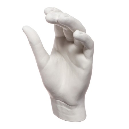 Gypsum figure anatomical details: "Women's brush" 18.5 cm-6
