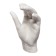Gypsum figure anatomical details: "Women's brush" 18.5 cm