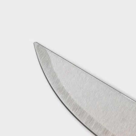 Knife Knot Dolyana "Tricolor", blade 21 cm-2