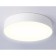 LED ceiling LED AMBRELLA Orbital Air Alum FV5523, 35W, LED, white color