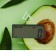 Kitchen Libra Luazon LVK-501 "Avocado", electronic, up to 7 kg