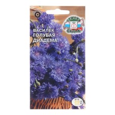 Flowers of cornflowers 