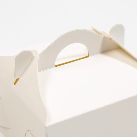 Confectionery packaging under the gento cake, 12 x 12 x 8.5 cm-1