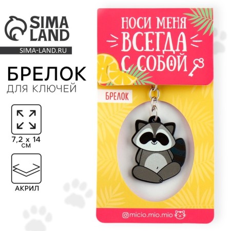 Acrylic keychain "Raccoon", 7.2 x 14 cm