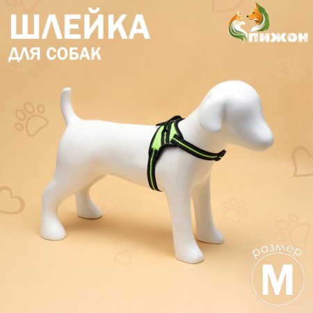 Cloll improved K7 soft reflective, size m, og 52-66 cm, weight 9.5-17.5 kg, green