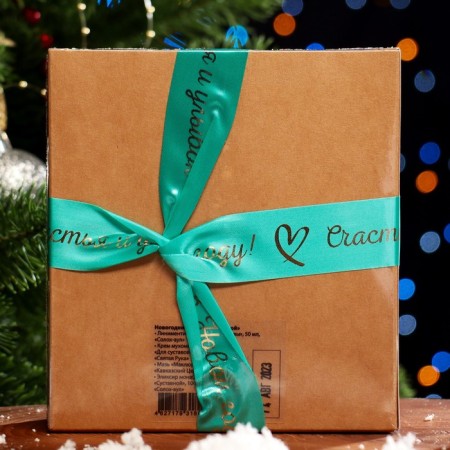 New Year's set "articular": joint cream, linemen, maklura ointment, articular elixir 995100-1