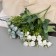 Bouquet "Rosa Knight Galant" 25 cm, mix