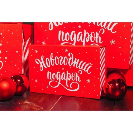 Box - book "New Year's gift", 20 x 12.5 x 5 cm, New Year-5