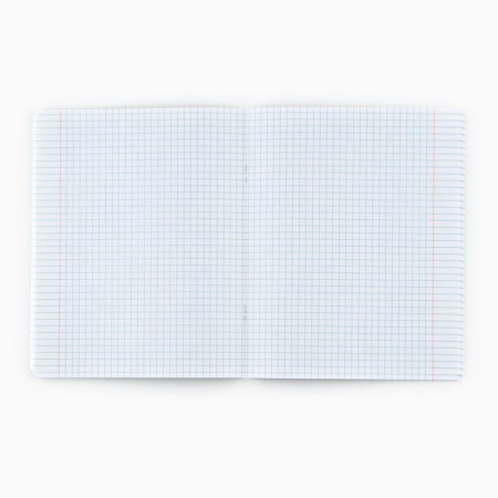 A notebook in a cage, 48 sheets A5 on a paper clip 5 pcs., Inner block No. 1 MIX “September 1: Motivational” mat. Laming, embossing-3