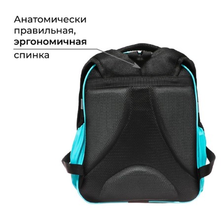 School backpack, 37 x 28 x 19 cm, calligrata volt "Cat Panda"-3