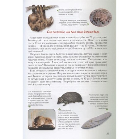 Entertaining biology. Kolpakova O.-7