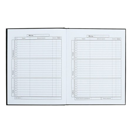 School diary for grades 1-11, 48 sheets "Main", solid cover, "software", universal cheat sheet, block 65g/m2-7