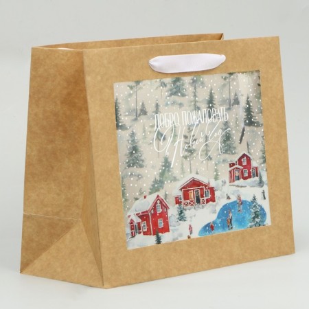 Craft packet with a plastic window "Winter", 24 x 20 x 11cm, New Year-1