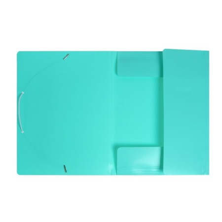 A4, 500 μm elastic band, calligrata, Pastel, spine 20 mm, up to 150 sheets, embossing "sand", mint-2