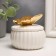 Coramics Coramics "Golden butterfly" 6.5x6.5x6.5 cm