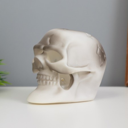 Skull lamp 2W LED LR44 5x7.5x7cm-2