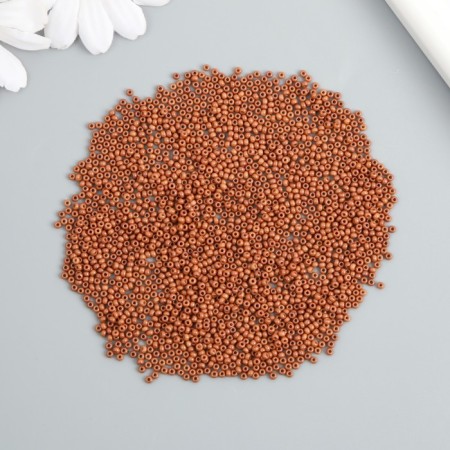 Glass 12/0 "Terracotta" smooth No. 700 450 gr-2
