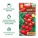 Olya tomato seeds F1, ultra -rapid, 10 pcs