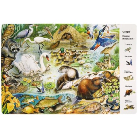“Find and show. Animals ", Wimmelbukh-2