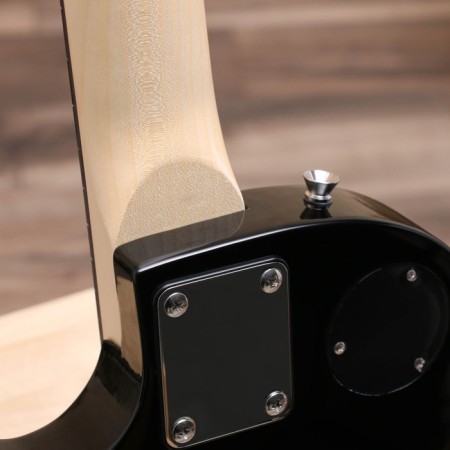 Terris TLP-039 BK Les Paul, HH, 2V2T, Black Color-5