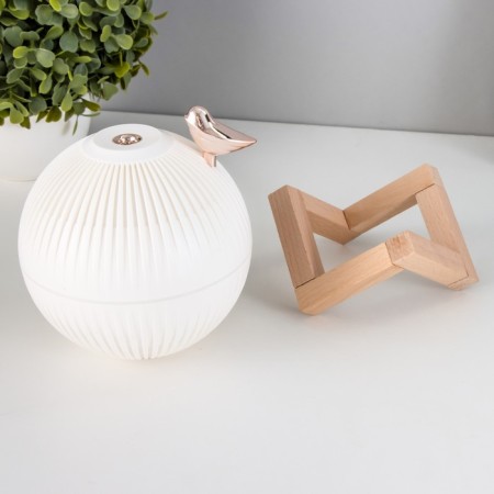 Night with a humidifier ball LED USB AKB White 12x12x11.5 cm Risalux-7