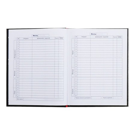 Diary for grades 5-11, 48 sheets "Balance", hard cover, glossy lamination, universal cheat sheet, block 65g/m2-7