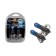 Hoodic lamp Xenite H1 (P14.5S) SW blister 2pcs.