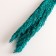 Set of dried flowers "reed", banch length 65 (+/- 6 cm), emerald