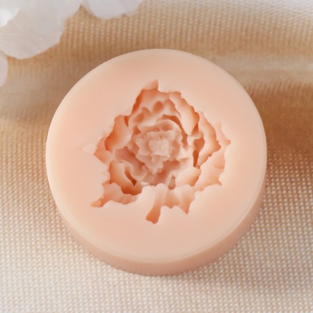 Mold Silicon "Pion" 3x3.3x0.8 cm-1