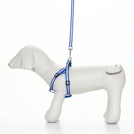 A set with a reflective tape, a collar 120 x 1 cm, OG 26-40 cm, blue-1