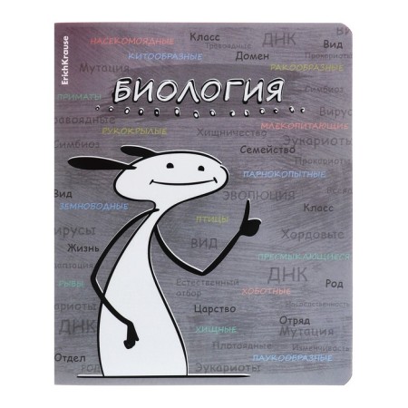 A set of subject notebooks 48 sheets, 12 pieces, Erichkrause "Chubrik", plastic cover silk-screen covers, Blok Offset 100%, information block-8