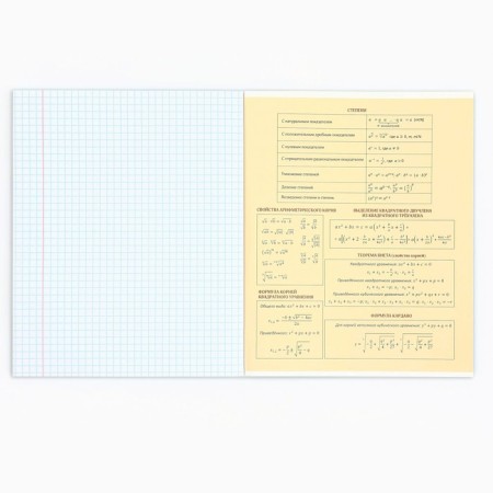 A notebook 48 sheets, A5 on the paper clip Block No. 1 “September 1: Anime Comics. Algebra”-5