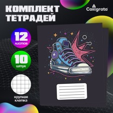 A set of notebooks of 10 pieces, 12 sheets in a large Calligrata “sneakers”, covered cardboard, VD-clus, block No. 2, whiteness 75% (gray sheets), 5 types of 2 pieces