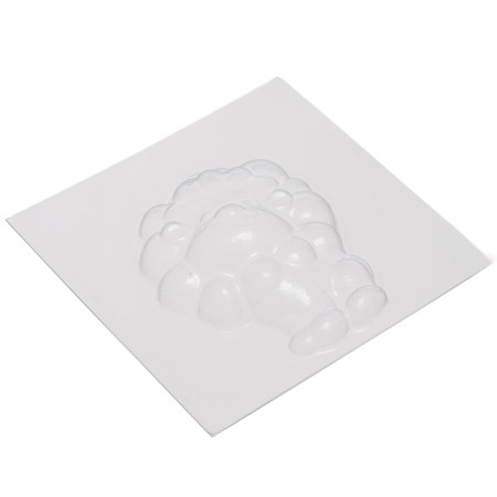 Set for creativity. Do -it -yourself bombs for bathtubs "Brave lion"-7