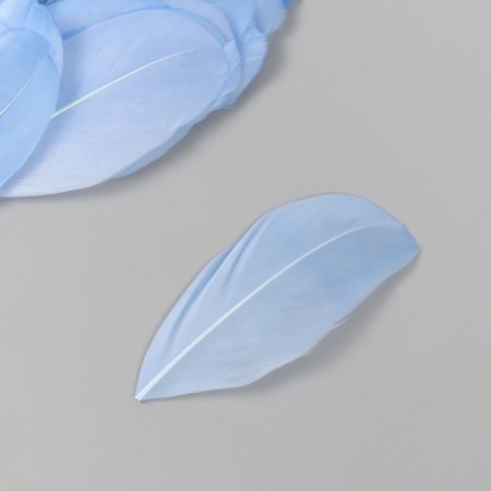Decorative goose "Heavenly" pen in the shape of a sheet set 40 pcs h = 5-7 cm-1