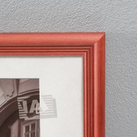 Photo frame tree "Image Art" C20x340 cm, (glass), col. Red tree-2