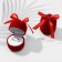 The case is velvet under the ring "Gift", 5 × 5 × 6, the color is red, the insert is white