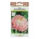 Flowers of Astra "apple shine", 50 pcs