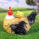 Garden figure "Chicken hen" 25x30cm