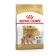 Dry food RC Pomeranian for Pomeranian Spitz, 1.5 kg