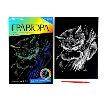 Engraving "kitten" with a metallic effect "Rainbow" A4-1