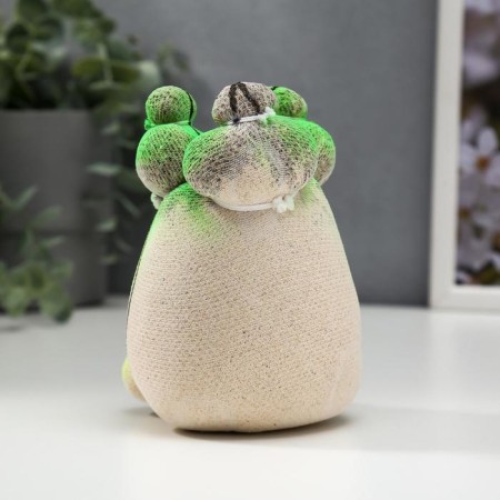 Growing gift Eco -Zhizhivchik "Cactus 2" mix-3