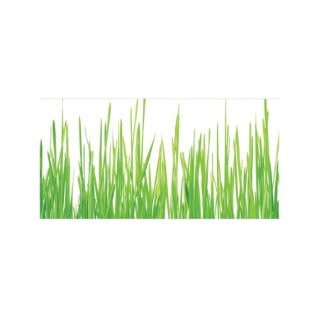 Basket for storing things "Fresh grass", size 35x50 cm-1